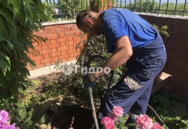 App Image 2019-06-11